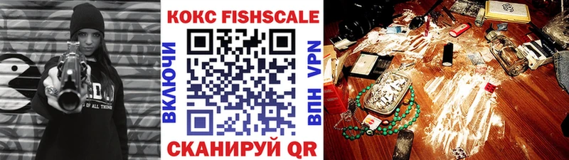 Cocaine FishScale  Купить  Болохово 