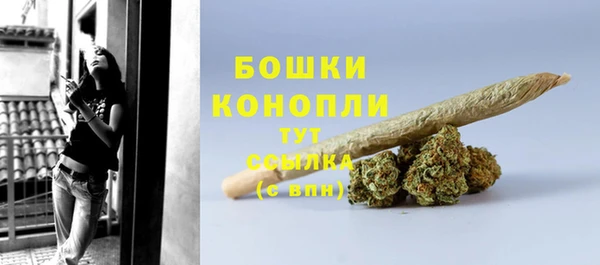 амф Козельск