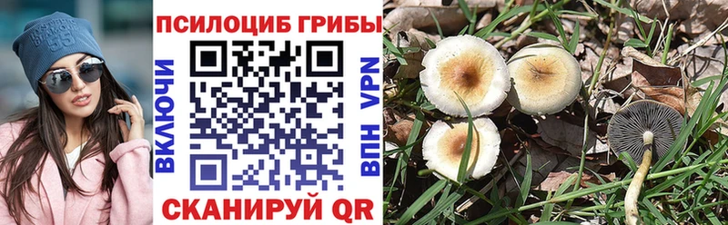 Псилоцибиновые грибы Psilocybine cubensis  Купить где  Болохово 